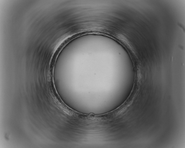 X0000103220924200809040959