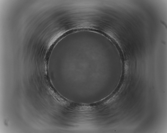 X0000103220925200809040959