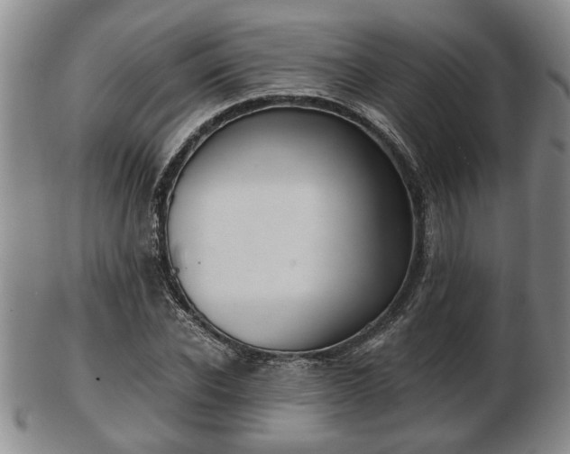 X0000103220926200809040959