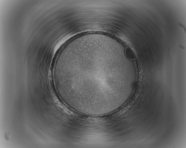 X0000103220928200809040959