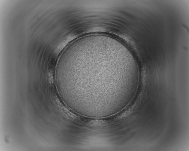 X0000103220929200809040959