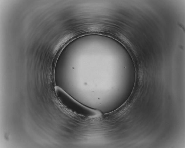 X0000103220930200809040959