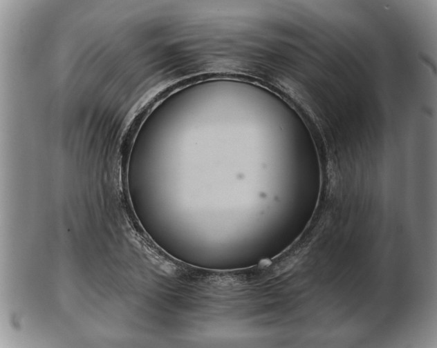 X0000103220931200809040959