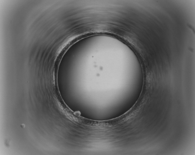 X0000103220934200809040959