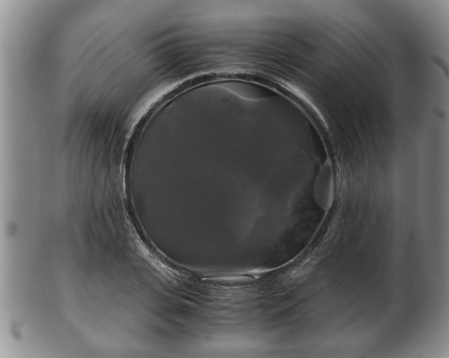 X0000103220935200809040959