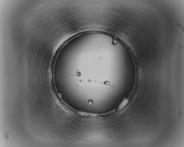 X0000103220936200809041000