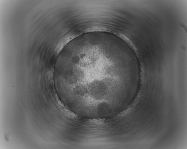 X0000103220937200809041000