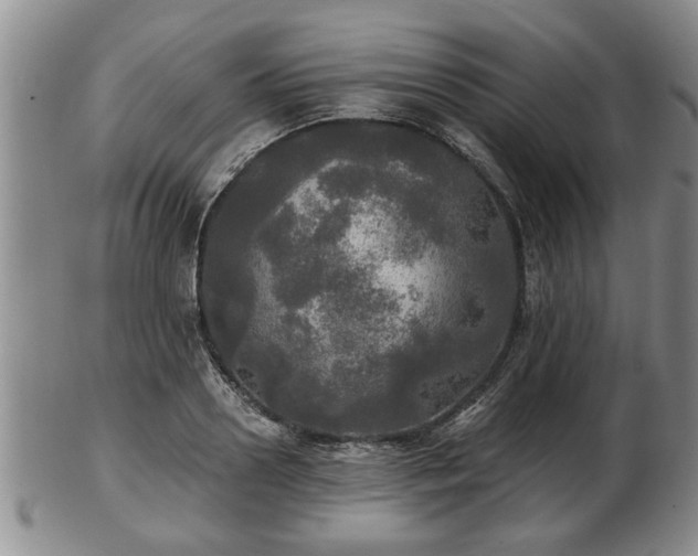 X0000103220938200809041000