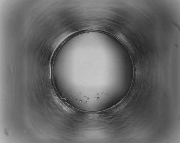 X0000103220940200809041000