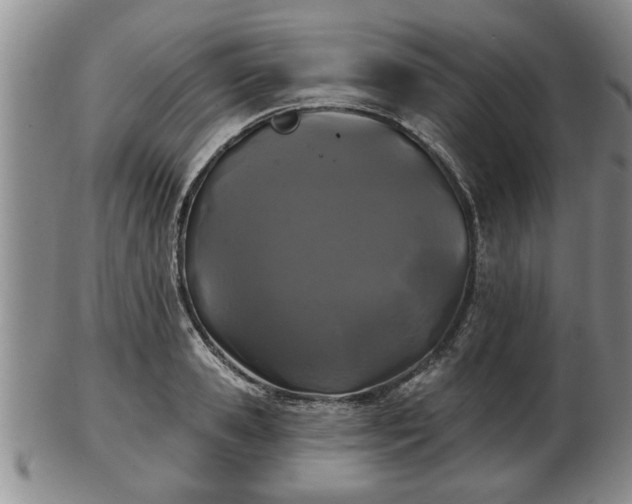 X0000103220941200809041000