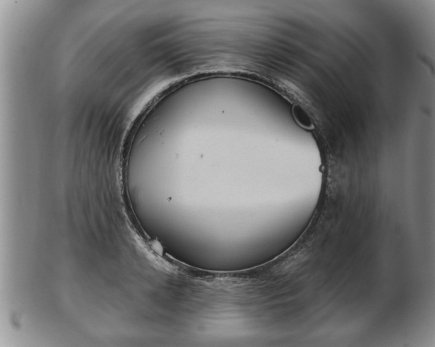 X0000103220942200809041000