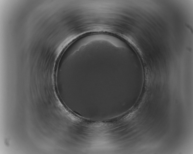 X0000103220943200809041000