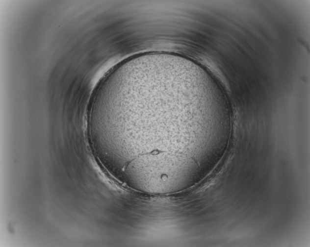 X0000103220944200809041000