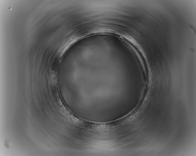 X0000103220945200809041000