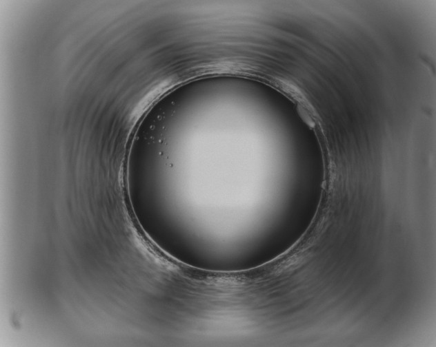 X0000103220946200809041000