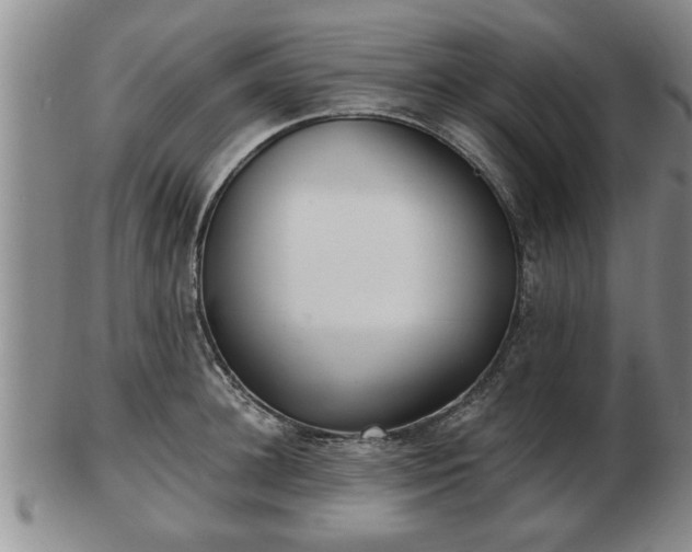 X0000103220948200809041000