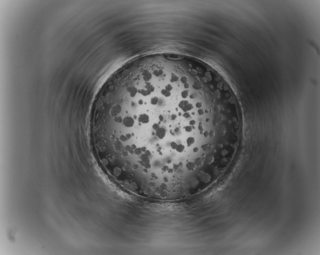 X0000103220949200809041000