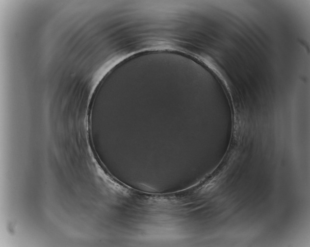 X0000103220951200809041000