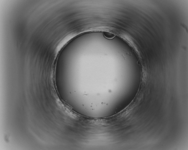 X0000103220952200809041000