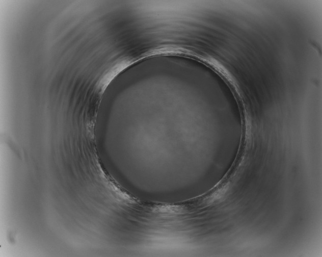 X0000103220953200809041000