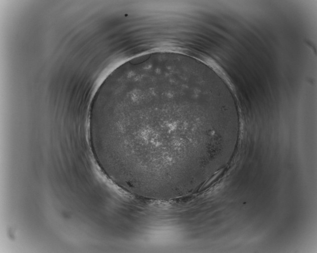 X0000103220955200809041000