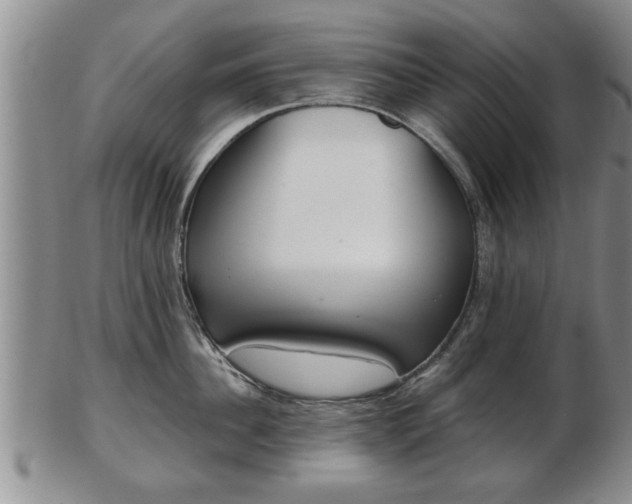 X0000103220956200809041000