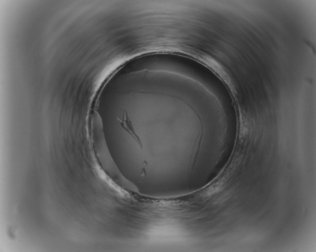 X0000103220958200809041000