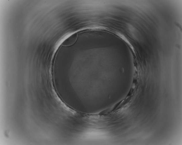 X0000103220959200809041000