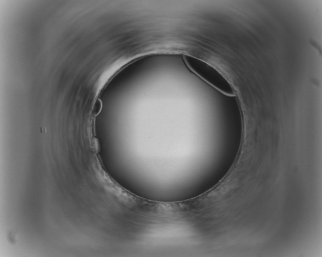 X0000103220960200809041000