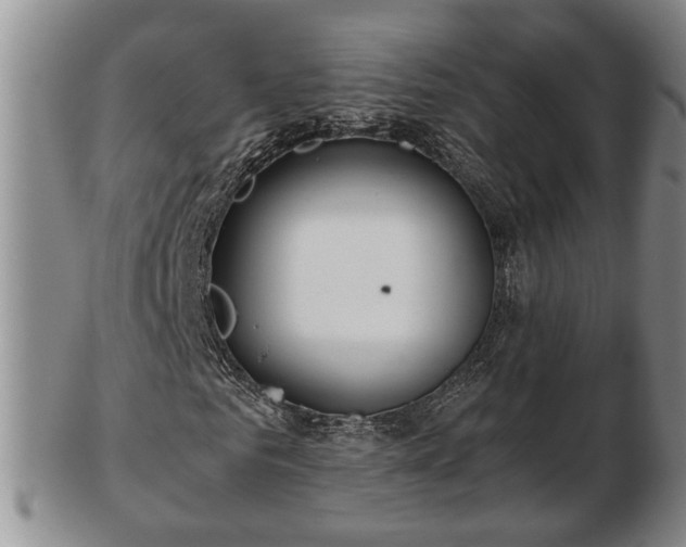 X0000103220961200809040959