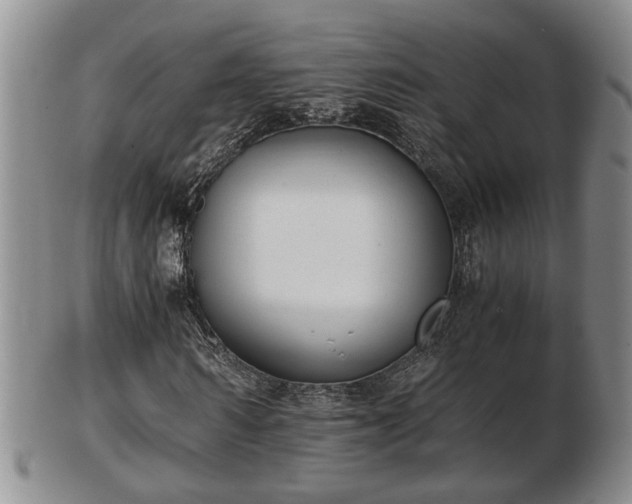 X0000103220962200809040959