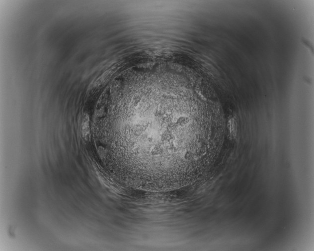 X0000103220963200809040959