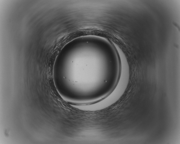 X0000103220965200809040959