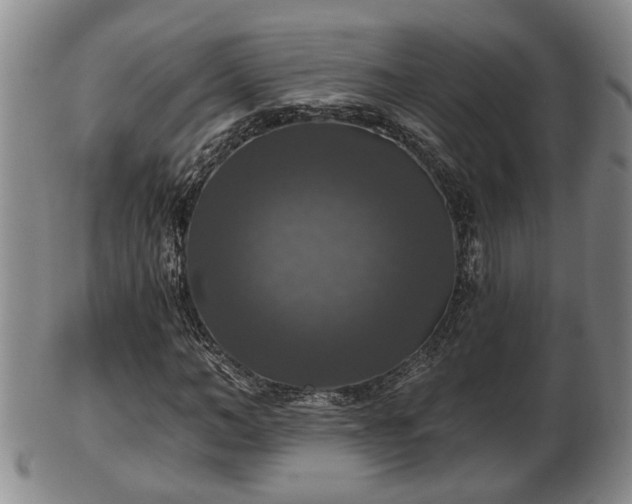 X0000103220966200809040959