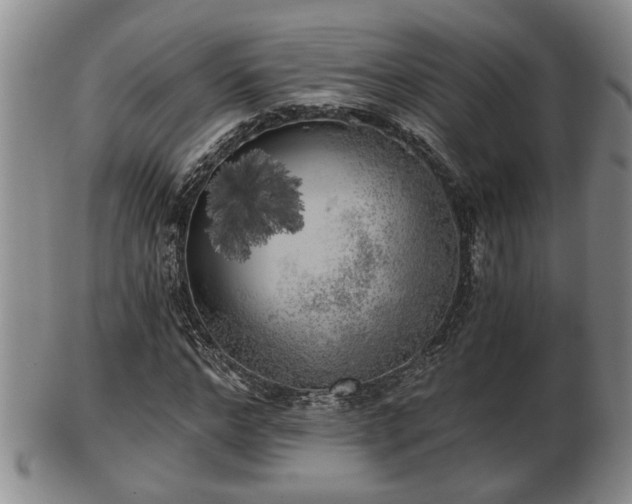 X0000103220968200809040959