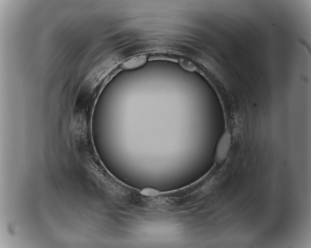 X0000103220969200809040959