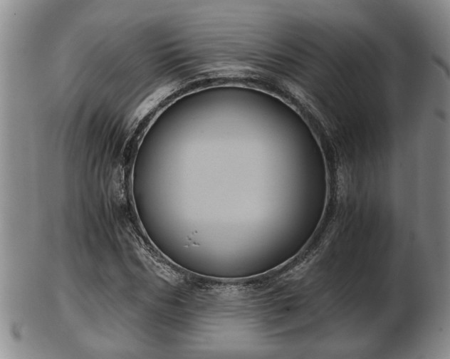 X0000103220970200809040959