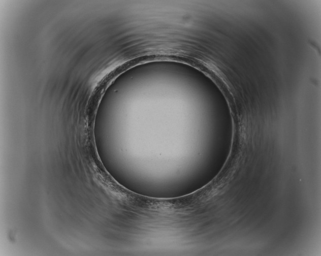 X0000103220971200809040959