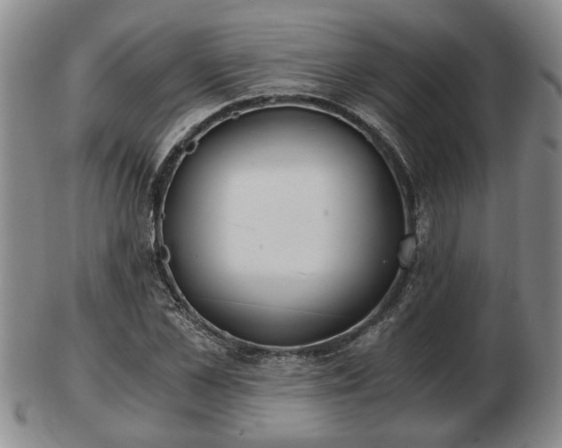 X0000103220973200809040959