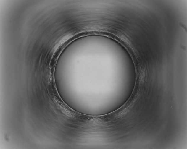 X0000103220974200809040959