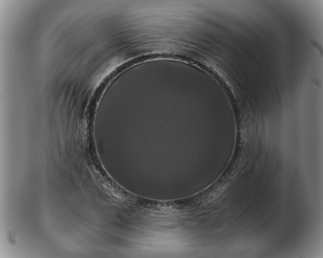 X0000103220975200809040959