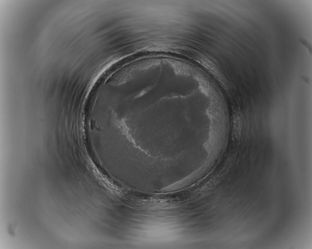 X0000103220976200809040959