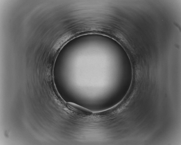 X0000103220977200809040959