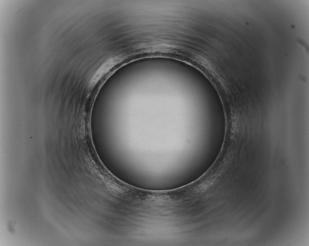 X0000103220978200809040959