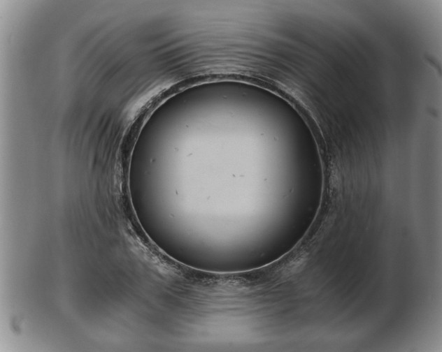 X0000103220979200809040959