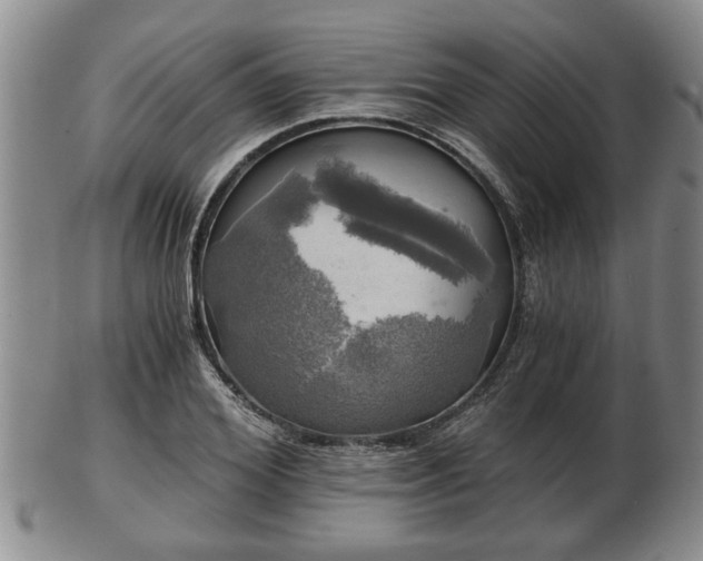 X0000103220980200809040959