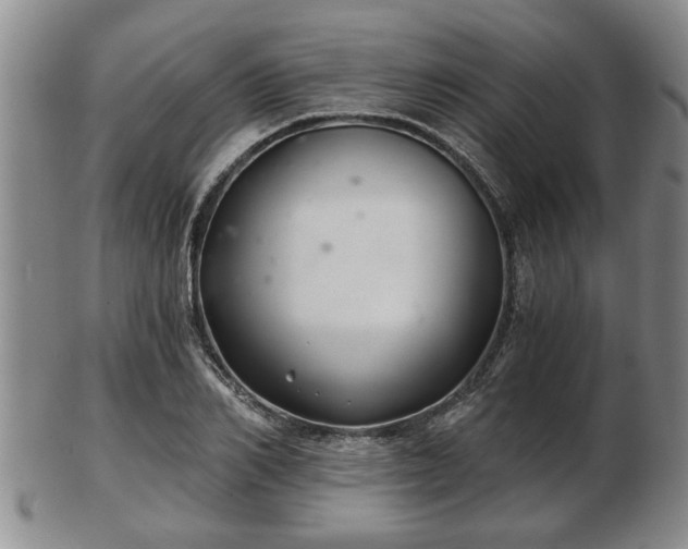 X0000103220982200809040959