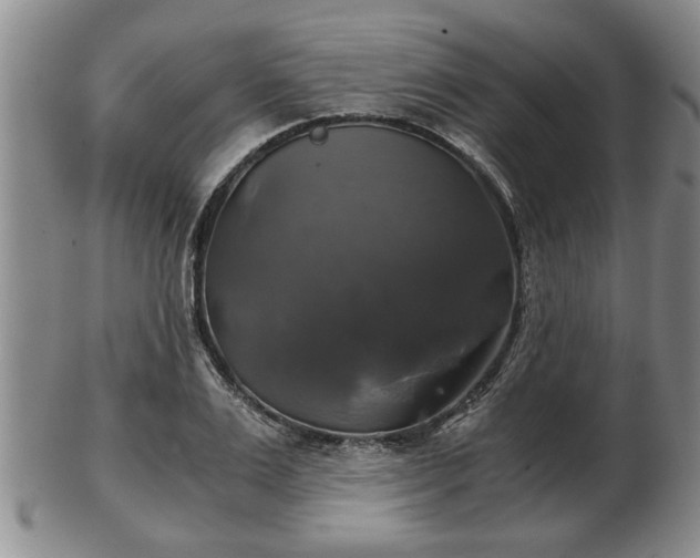 X0000103220983200809040959