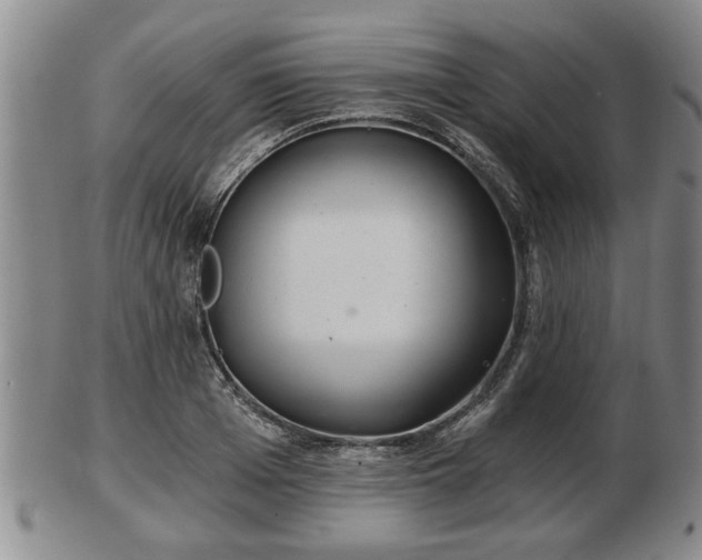 X0000103220985200809040959