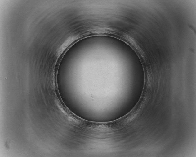 X0000103220986200809040959